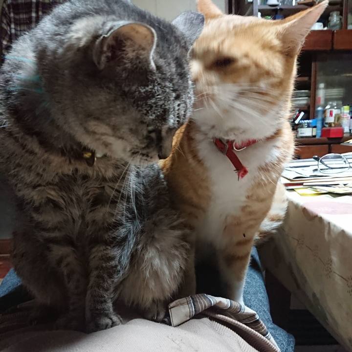 B4e113a3 f176 422e 9596 c8846a9d4254 1575101346560