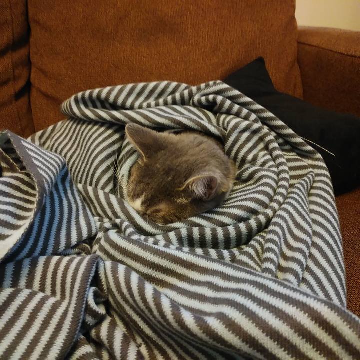 B4e13b19 ec83 4fee 9a2b 5b6bdce9f34a 1584169636208