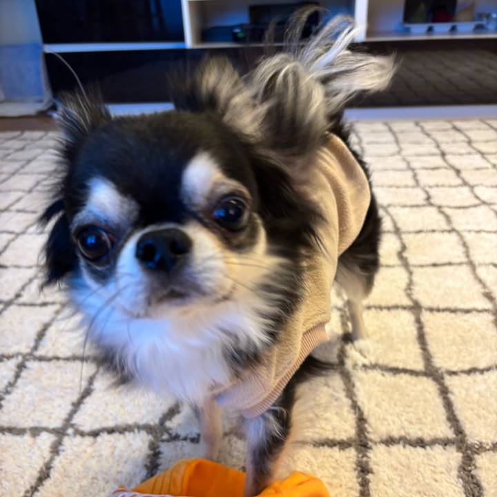 B4e14bcc 00c8 4976 b0e3 16f8e0f6bea2 1734278389577