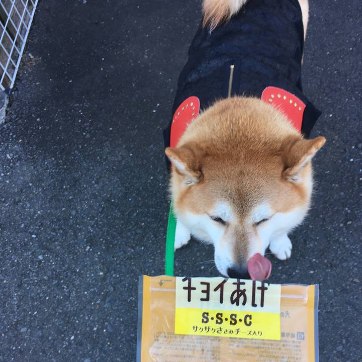 B4e15b28 6641 478d a142 3fb5f12a7489 1607990919999