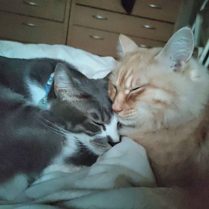 B4e15e3c 1c69 4cba 9ef1 b689406e25f2 1698875515888