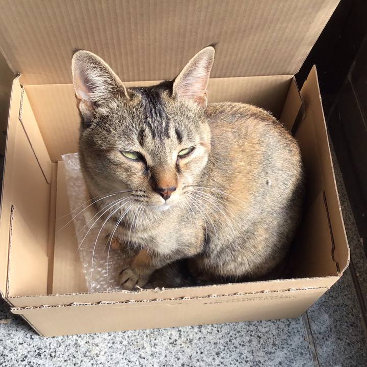 B4e190c3 0206 4414 8881 eeb1b518edce 1580876133871