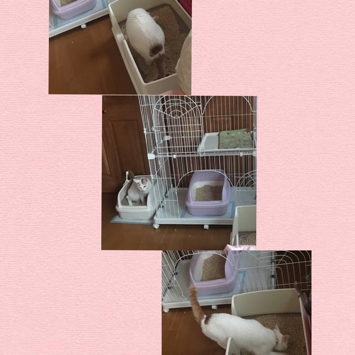 B4e1c65f b8aa 420d 9715 7c0aa39b3932 1534587522301