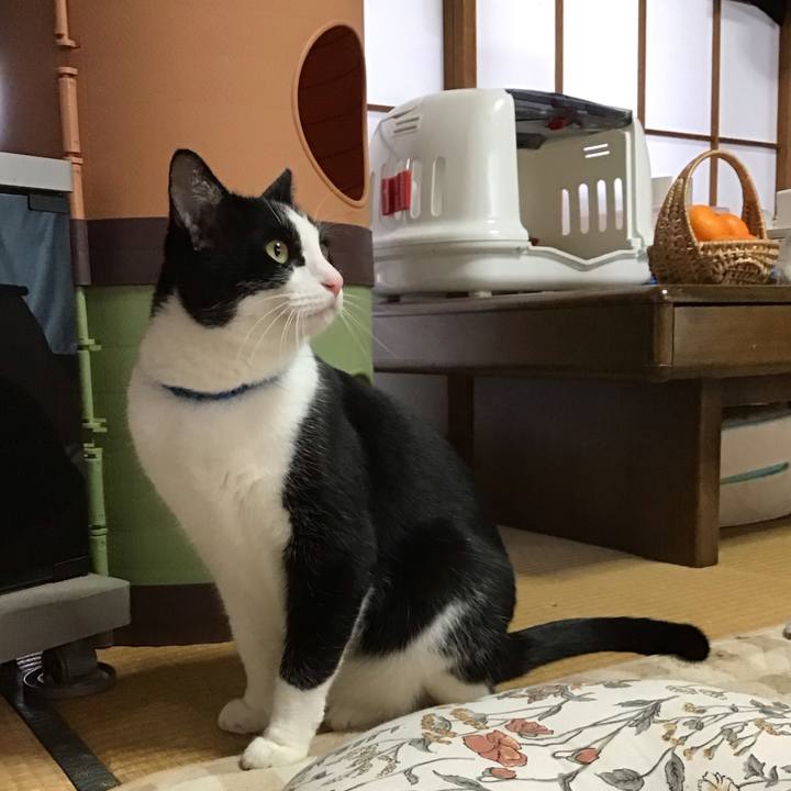 B4e219ea 9e61 4461 ae00 ef7532e8cdac 1700874028175