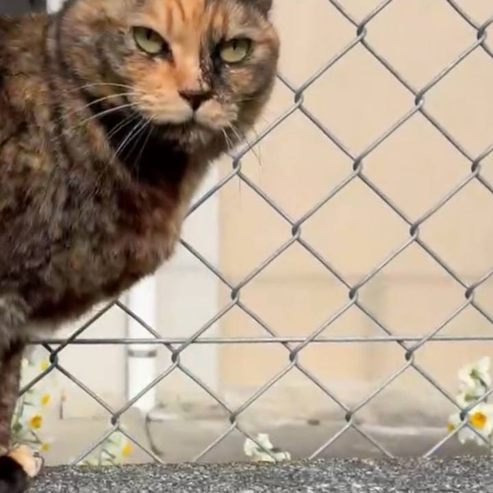 B4e2229e 8bf2 4359 b8fb 76ee1dcc4afc 1769871101564