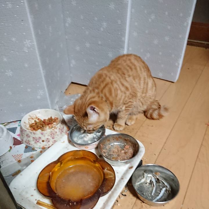 B4e23f7c ba6a 4ac8 a2a2 973020544426 1639084717918