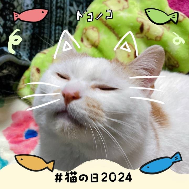 B4e26278 9d35 4ff7 a7e5 a2a2339767f1 1708607147999