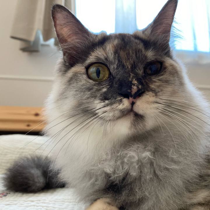 B4e28610 5648 4635 a80a 3577ecb6d5b1 1710134149089