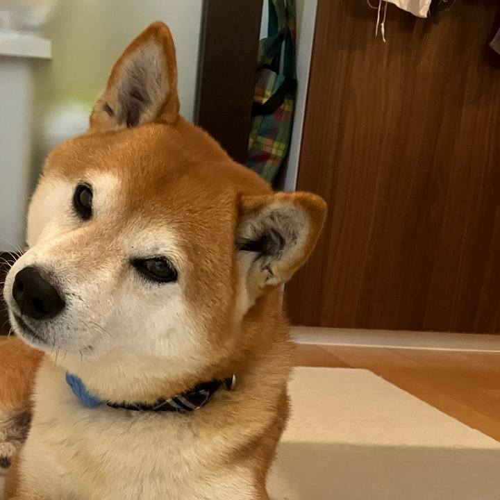 B4e2b2c4 7a32 40a0 ac3d 4ebf972e0b0c 1764637488077