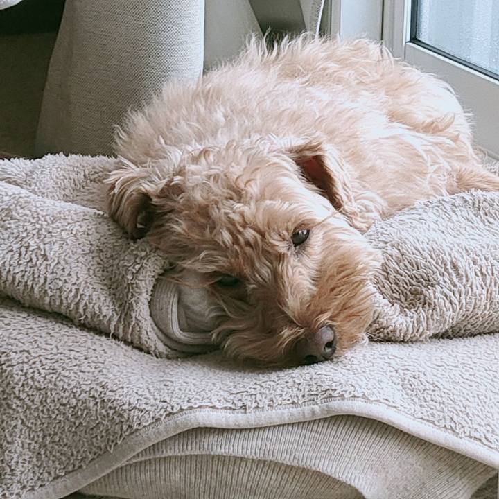 B4e2d1d5 8d4f 47ed 94bb 064c88989d38 1614644406440