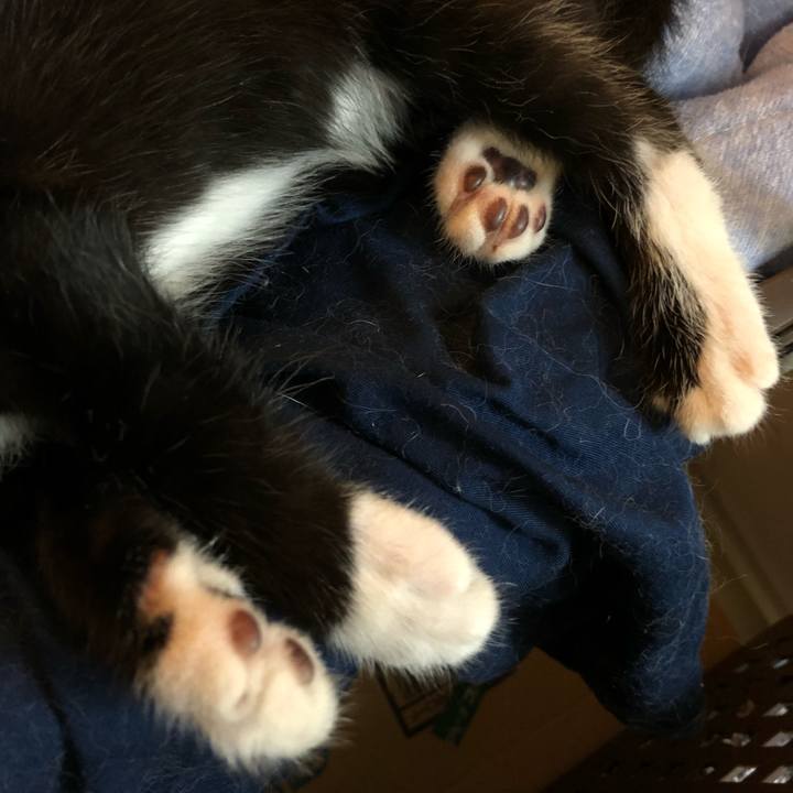 B4e308e5 35e1 4682 b040 293558f9dca2 1537789460509