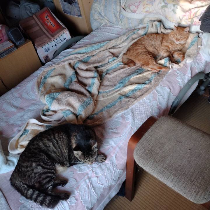 B4e30daa 8915 4127 bb36 67d7c1ff198f 1689890797249