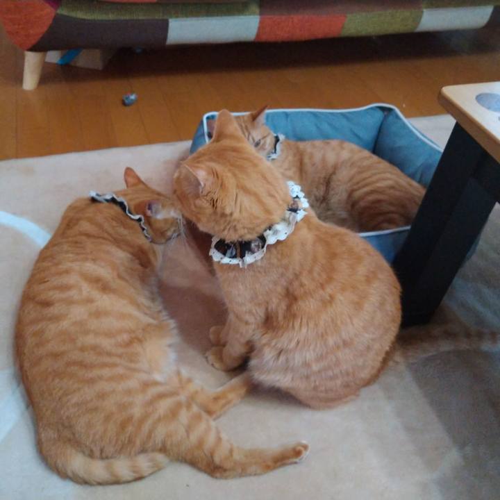 B4e33618 cbf1 4162 bafa eaa51f00e15d 1602228505877