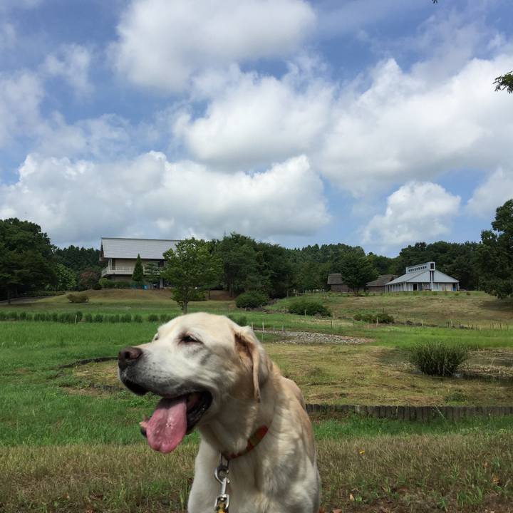 B4e33a66 904c 46f2 9c65 5984d71c98c8 1534213516012