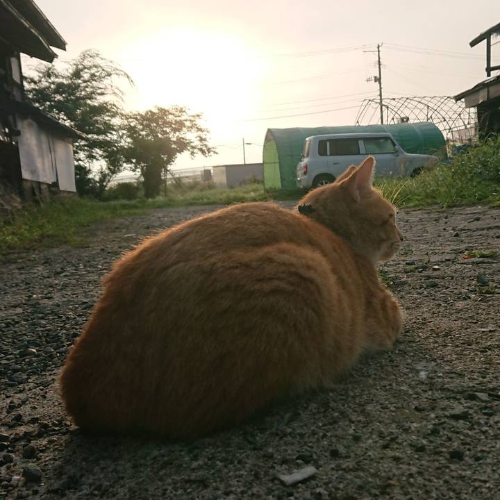 B4e34c1c 5660 414e 9f31 fe6e70403baf 1566853183957