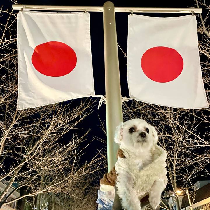 B4e352b9 f7cd 402e abf4 15f4b0f05a9d 1641790745709