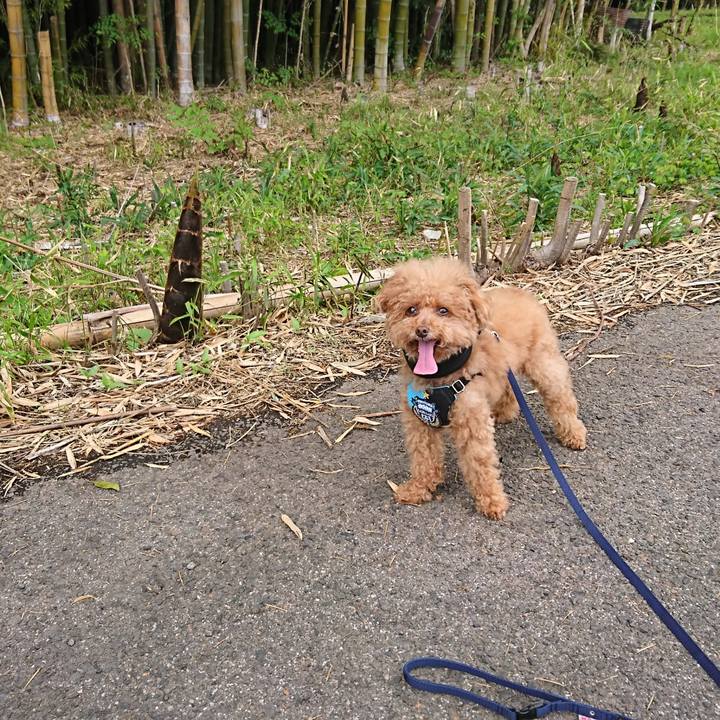 B4e36378 36fb 4ff5 ac84 04fbe8c38b5d 1556798558782