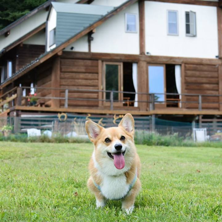 B4e37516 da1f 461c 9f6c d4fa840b2d11 1568542949457