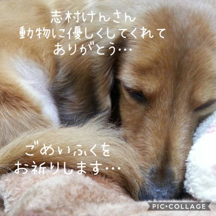 B4e3b522 53f3 45cb b9a7 90e9665ccd4c 1585566111220