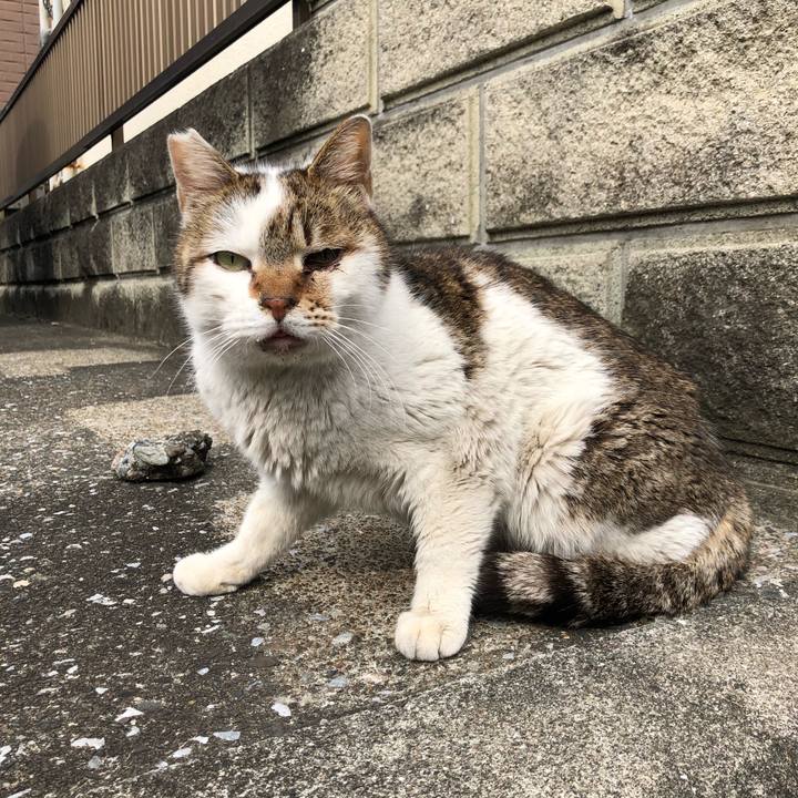 B4e3b72f f53c 4dd3 afc5 31a63dce0a5a 1589716827766