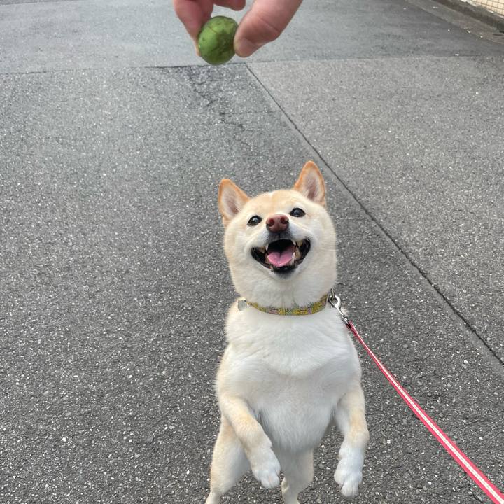 B4e3cc54 cc80 43d7 9298 dd021bed6831 1684709247347