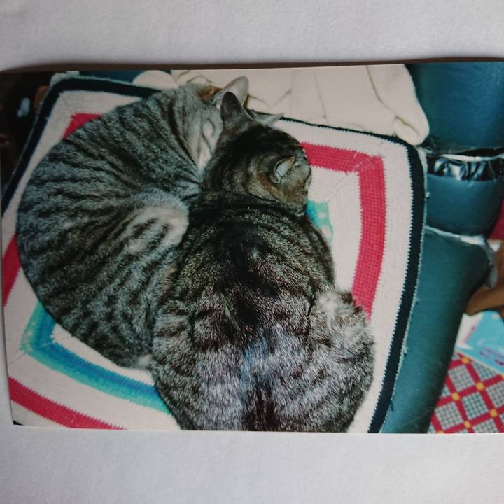 B4e3e1dc 71a8 4d1e b9df a45b1bc46ffe 1601755255696