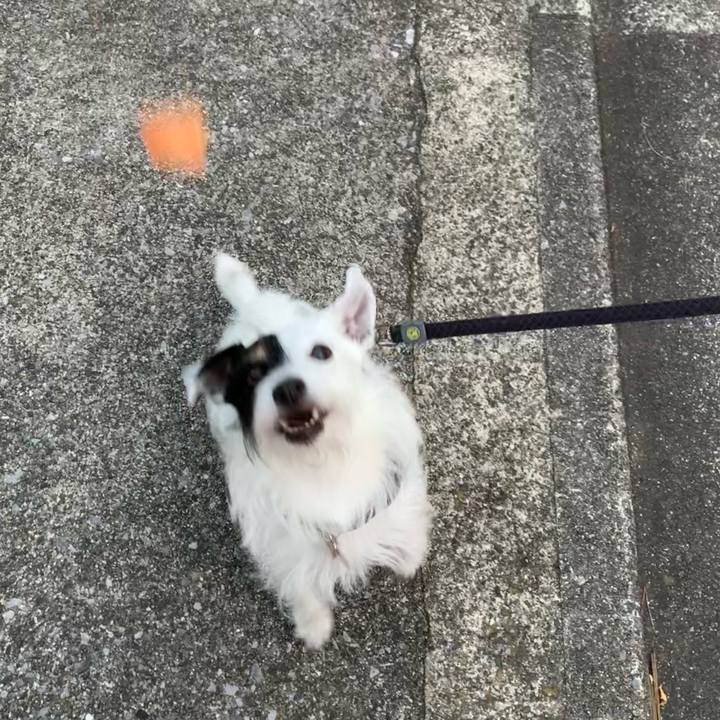 B4e43d77 98b5 4d54 b071 876597485022 1689588731021