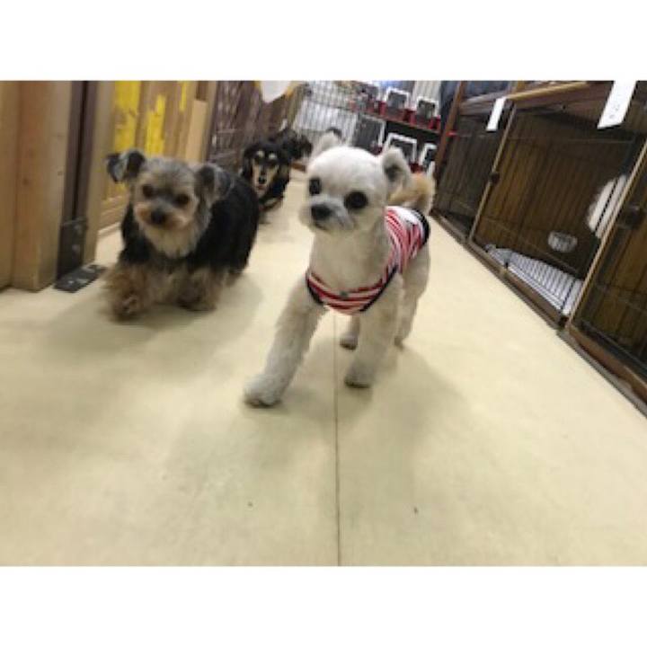 B4e47618 7f48 49c9 ad8f d972e990691a 1553084082056