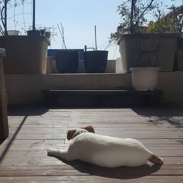 B4e47d10 2215 437a 9f74 48d76df60fb3 1551492504779