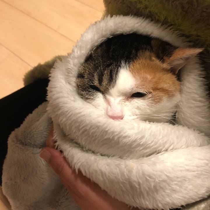 B4e489d5 d88d 4342 a850 0ad699b5f3f2 1578219422448