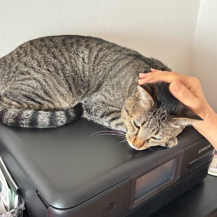 B4e4a7df 39cd 48d7 89e2 e11a835c0d29 1758097483016