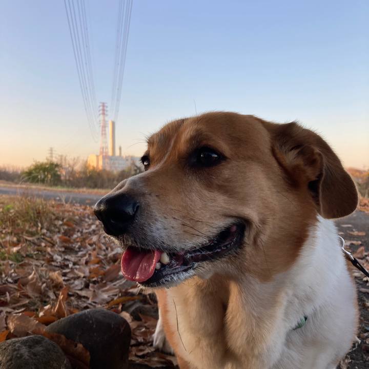 B4e4af84 e7d7 4b20 9531 26dff4b09960 1765863452138