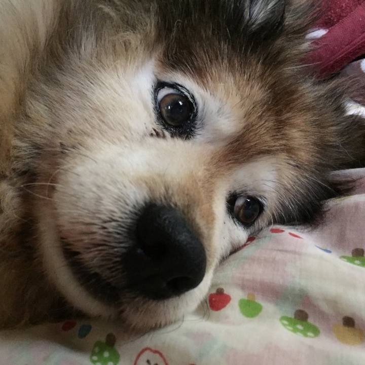 B4e4e30d 423b 46eb a507 37b60d11e9d9 1584335276958