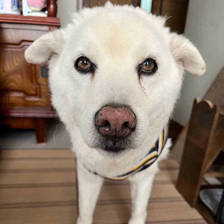 B4e4e924 0854 43b6 84e3 8d451aeadc87 1761694415524