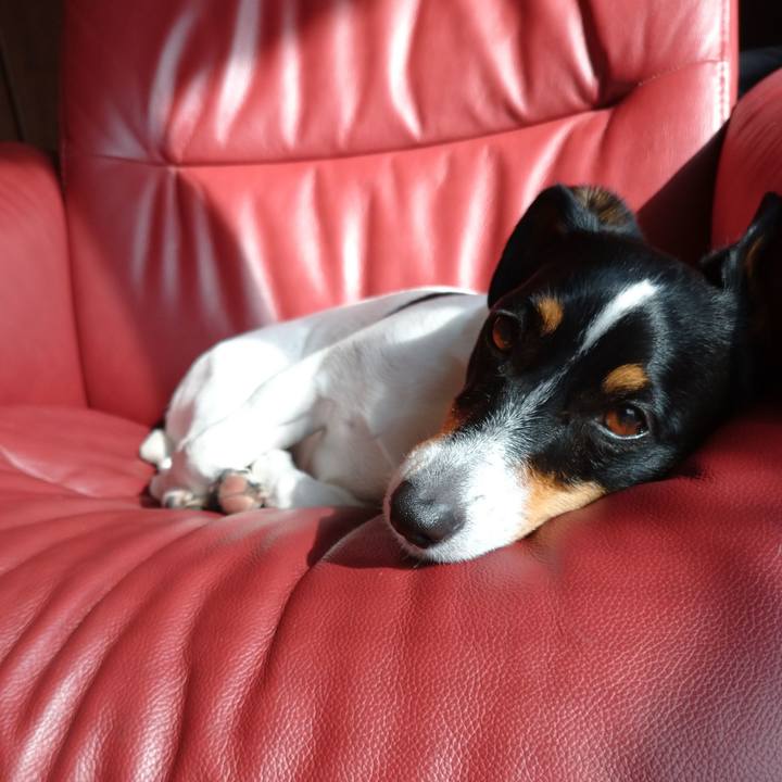 B4e4f169 6b4c 4987 85ac a1d76760024f 1637473701362