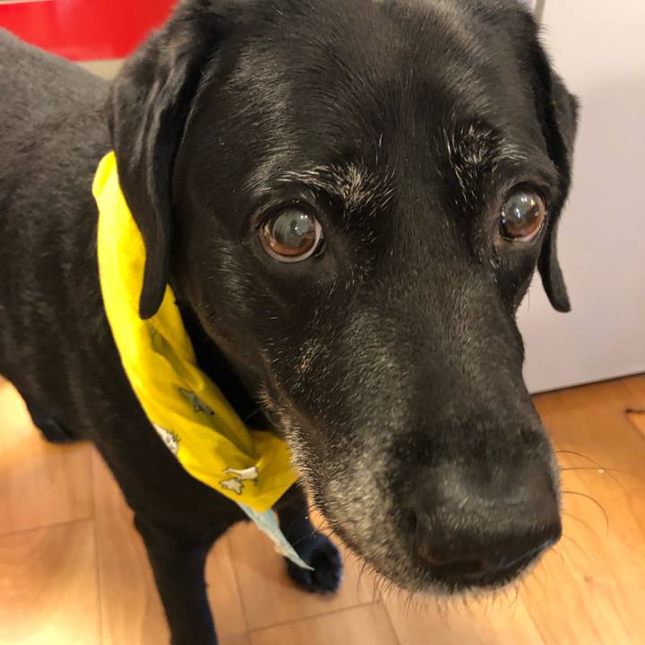 B4e51b84 1a08 47b6 b7b5 a4d58d43b6e4 1564758902713