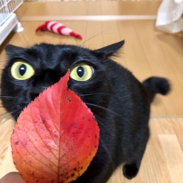 B4e53364 cf05 41b0 a058 4997af25a280 1541839278820