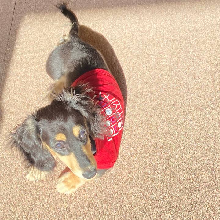 B4e53eb2 2daf 4db6 9451 7878dcaf5769 1670812893282