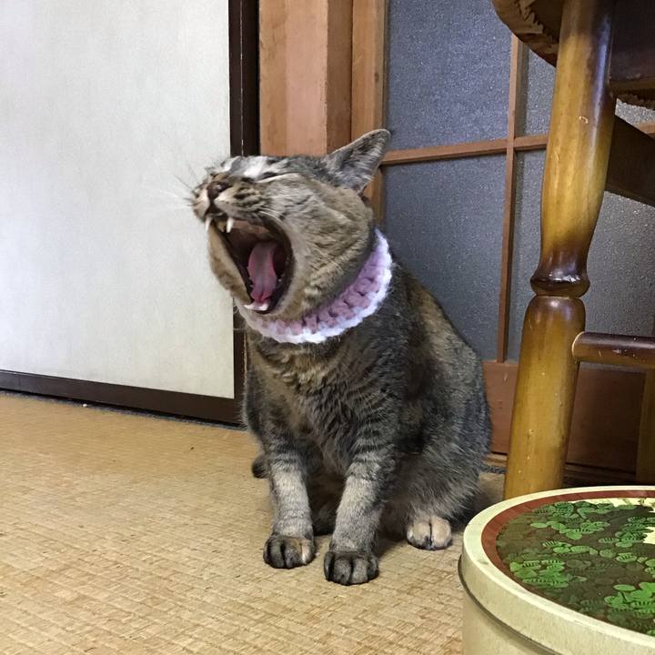 B4e54381 e9ff 4c83 ad00 709d05da075a 1749974249188