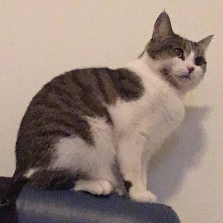 B4e57ea8 8e71 4fd5 8b8e bc193a276dec 1645498287710