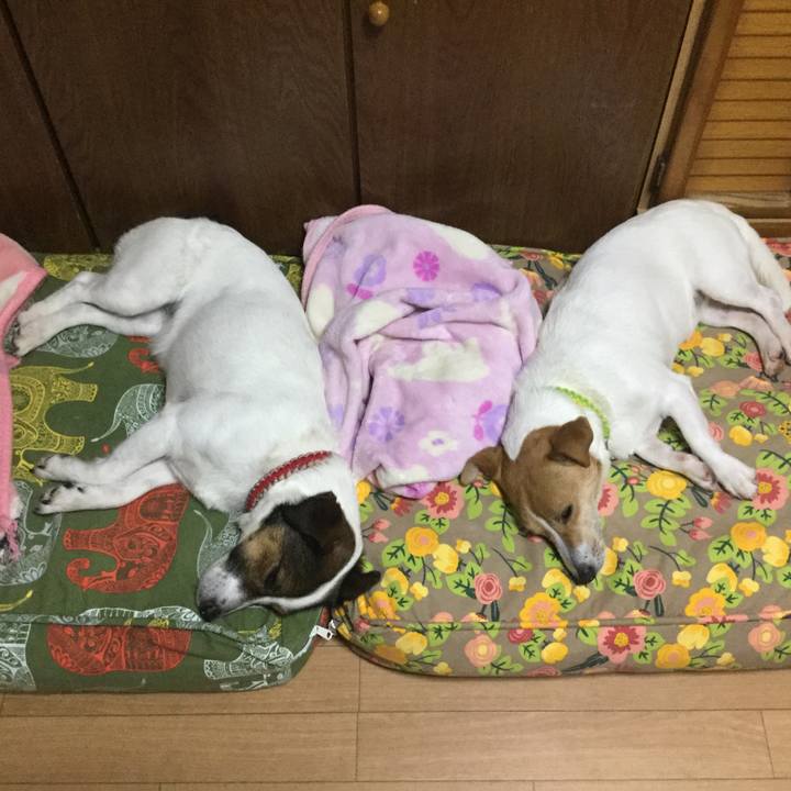 B4e58301 6116 4728 bde1 52ccc25af575 1558960790517