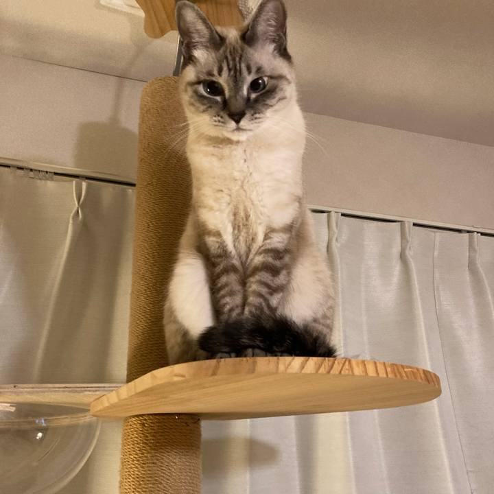 B4e590a3 c74a 4ef9 80d2 0a7b60855618 1667220991331