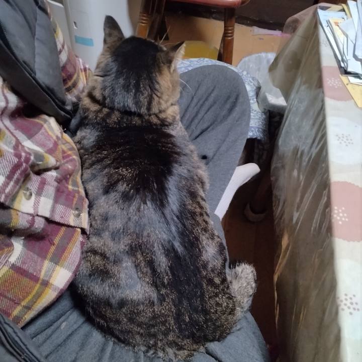 B4e59b5c 9074 4c5a 814f 18a66129b6fb 1702635375994