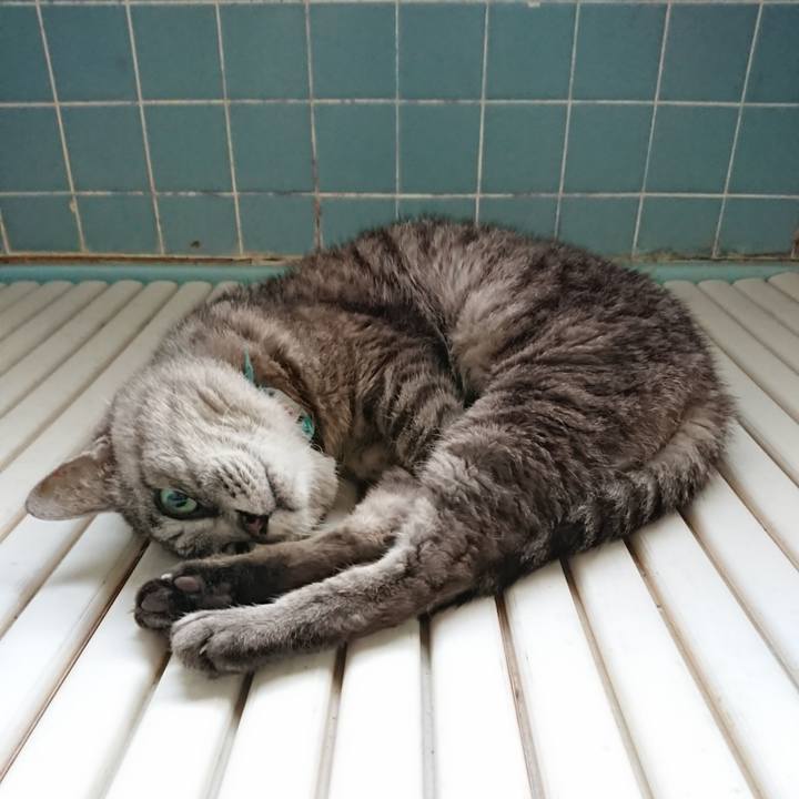 B4e5ba17 7e18 4e0b 9ba3 93e53505559a 1569620723358