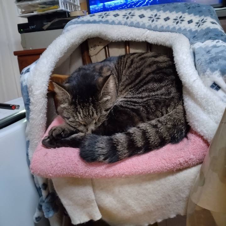 B4e5fad6 5407 4cc3 bb04 fac0af75b2de 1674909025150