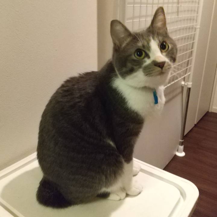 B4e62046 c01b 4d73 9ea2 9017e55c76a1 1610574196530