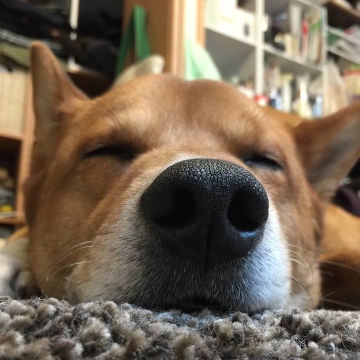 B4e64a2b 64cd 4fee a9ae c3e426e5062c 1614915796489