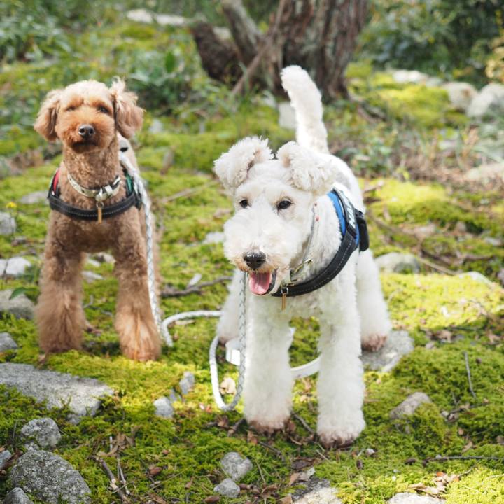 B4e64b74 dff3 4654 b762 2333d82bcd3a 1572302934216