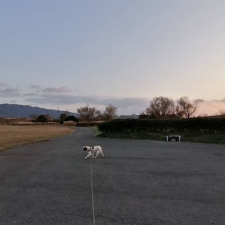 B4e64c55 dd40 430a ae81 57724342e925 1578126717858