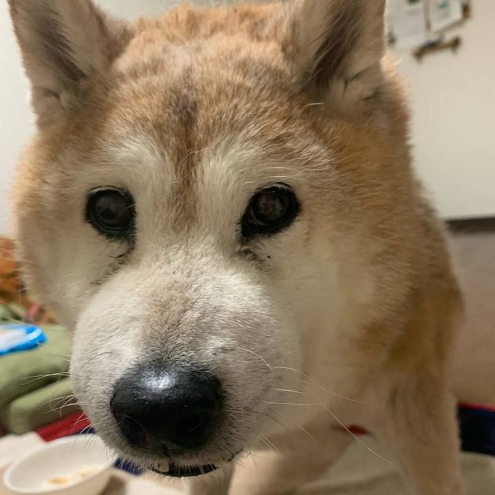 B4e67f7b 31b7 4e9d 8034 0a9db6304dd7 1652610478954